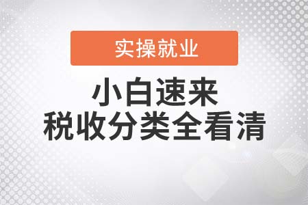 小白速來！稅收分類全看清