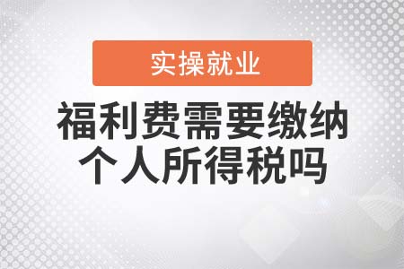 福利費(fèi)需要繳納個(gè)人所得稅嗎？
