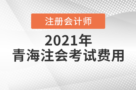 2021年青海省玉樹注會考試費用多少錢