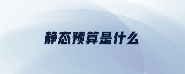 靜態(tài)預算是什么