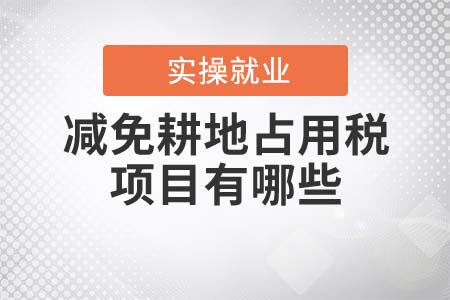 減免耕地占用稅的項目有哪些？