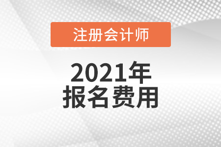 2021年各地注冊(cè)會(huì)計(jì)師報(bào)考費(fèi)用多少