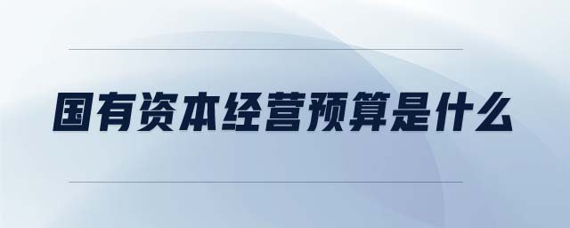 國有資本經(jīng)營預(yù)算是什么