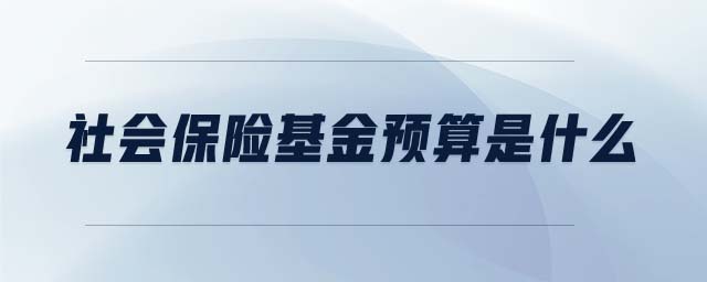 社會(huì)保險(xiǎn)基金預(yù)算是什么
