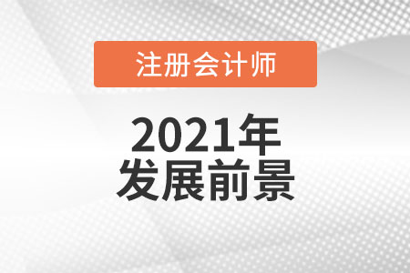 注冊會計(jì)師發(fā)展前景怎么樣