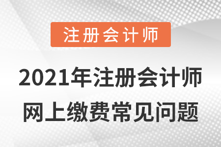 2021年注冊會計師網(wǎng)上繳費常見問題