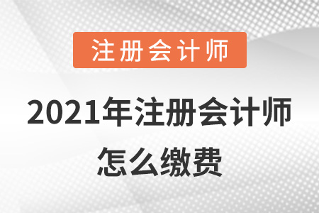 2021年注冊(cè)會(huì)計(jì)師怎么繳費(fèi)