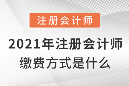 2021年注冊(cè)會(huì)計(jì)師繳費(fèi)方式是什么？