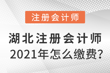 湖北省恩施2021年注冊(cè)會(huì)計(jì)師怎么繳費(fèi)？