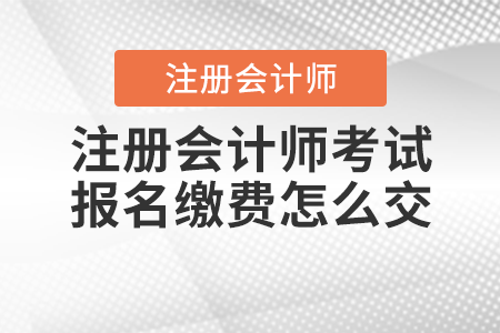 注冊(cè)會(huì)計(jì)師考試報(bào)名繳費(fèi)怎么交