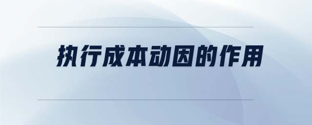 執(zhí)行成本動(dòng)因的作用 執(zhí)行成本動(dòng)因的作用