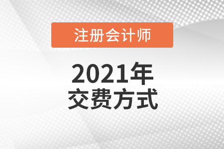 注冊會(huì)計(jì)師繳費(fèi)方式都有哪些