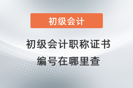 初級會計職稱證書編號在哪里查