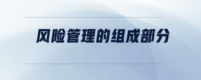 風(fēng)險管理的組成部分