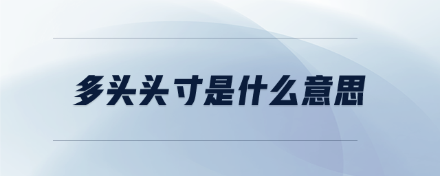 多頭頭寸是什么意思