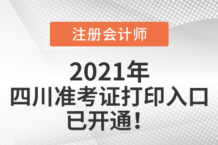 2021年四川省宜賓注冊(cè)會(huì)計(jì)師準(zhǔn)考證下載入口已開通
