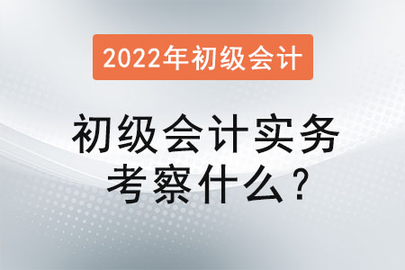 初級會計實務考察什么？