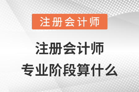 注冊會計師專業(yè)階段算什么
