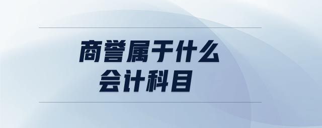 商譽屬于什么會計科目