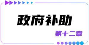 第十二章政府補(bǔ)助