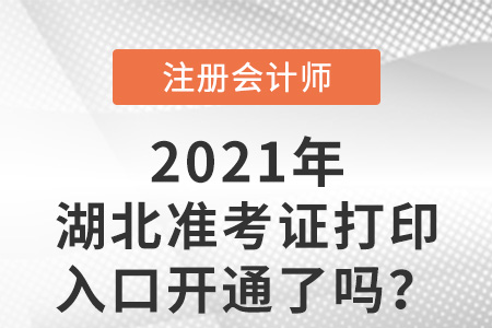 湖北省咸寧注會準考證打印入口
