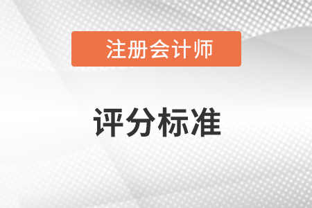 注會試題評分標(biāo)準(zhǔn)是什么？