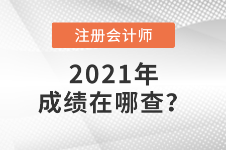 2021年注冊會計師成績在哪查