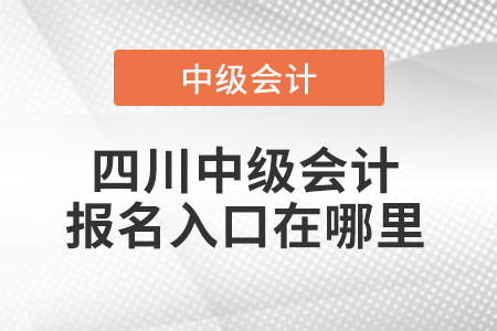 四川省瀘州中級會計報名入口在哪里