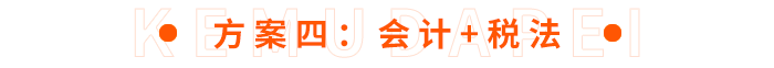 方案四：會計(jì)+稅法