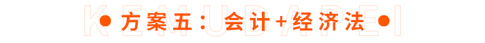 方案五：會計(jì)+經(jīng)濟(jì)法