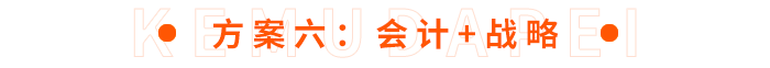 方案六：會計(jì)+戰(zhàn)略