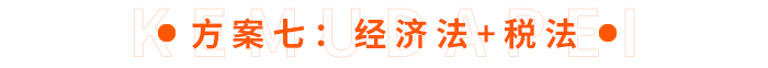 方案七：經(jīng)濟(jì)法+稅法