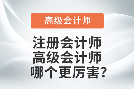 注冊會計(jì)師和高級會計(jì)師哪個(gè)更厲害？
