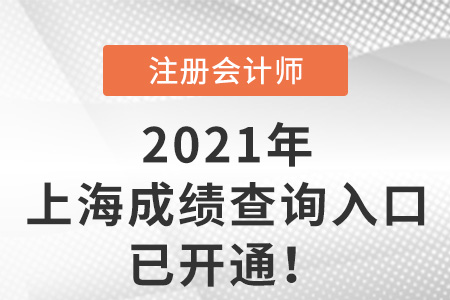 上海市徐匯區(qū)2021注冊會計師考試成績查詢?nèi)肟谝验_通
