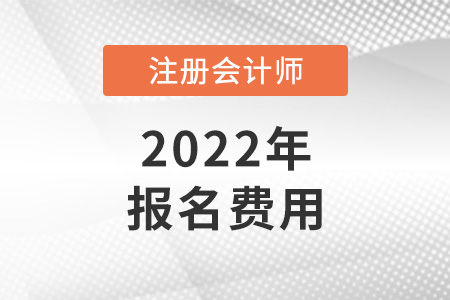 2022年注冊(cè)會(huì)計(jì)師考試報(bào)名費(fèi)是多少