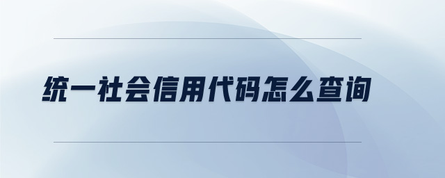 統(tǒng)一社會信用代碼怎么查詢 統(tǒng)一社會信用代碼怎么查詢