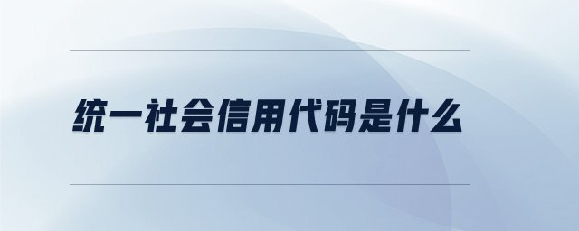 統(tǒng)一社會(huì)信用代碼是什么 統(tǒng)一社會(huì)信用代碼是什么