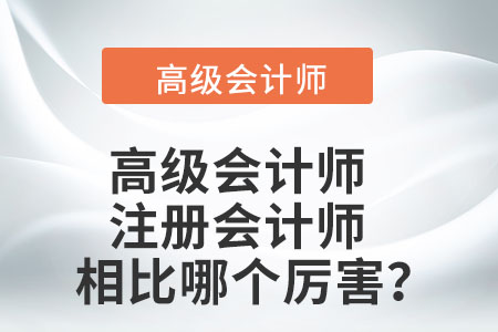 高級(jí)會(huì)計(jì)師與注冊(cè)會(huì)計(jì)師相比哪個(gè)厲害？