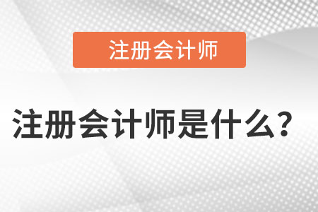 注冊會(huì)計(jì)師是什么？