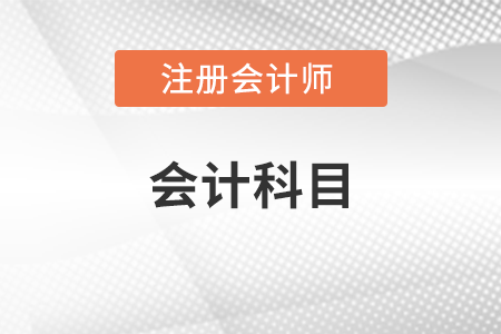 注冊(cè)會(huì)計(jì)師會(huì)計(jì)要考分錄嗎？