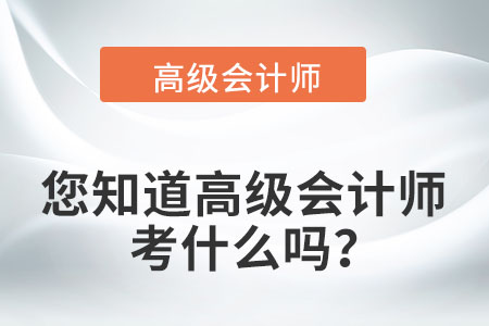 您知道高級(jí)會(huì)計(jì)師考什么嗎？
