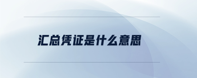 匯總憑證是什么意思 匯總憑證是什么意思