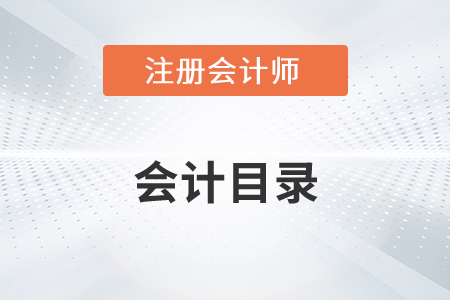 注冊會(huì)計(jì)師會(huì)計(jì)目錄2022年有變化嗎？