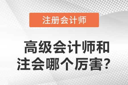 高級(jí)會(huì)計(jì)師和注冊(cè)會(huì)計(jì)師哪個(gè)厲害？