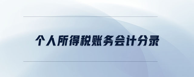 個人所得稅賬務(wù)會計分錄