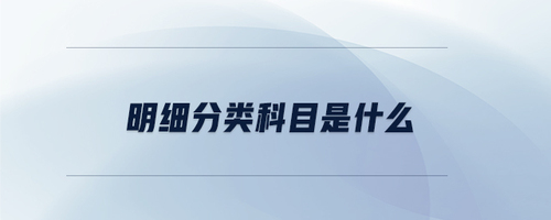 明細分類科目是什么
