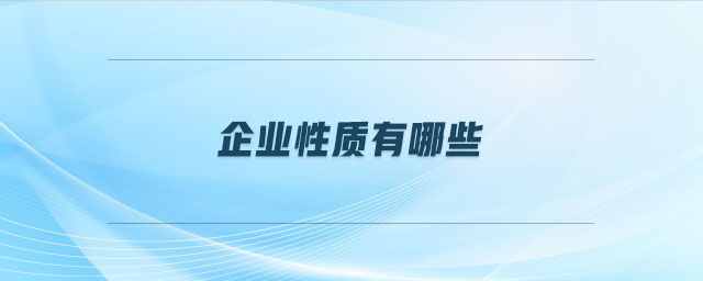 企業(yè)性質(zhì)有哪些