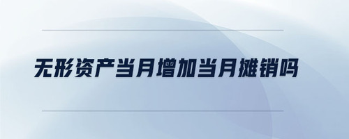 無形資產(chǎn)當(dāng)月增加當(dāng)月攤銷嗎 無形資產(chǎn)當(dāng)月增加當(dāng)月攤銷嗎