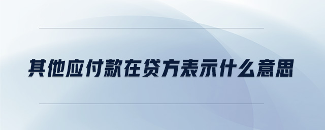 其他應(yīng)付款在貸方表示什么意思