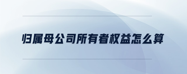 歸屬母公司所有者權(quán)益怎么算